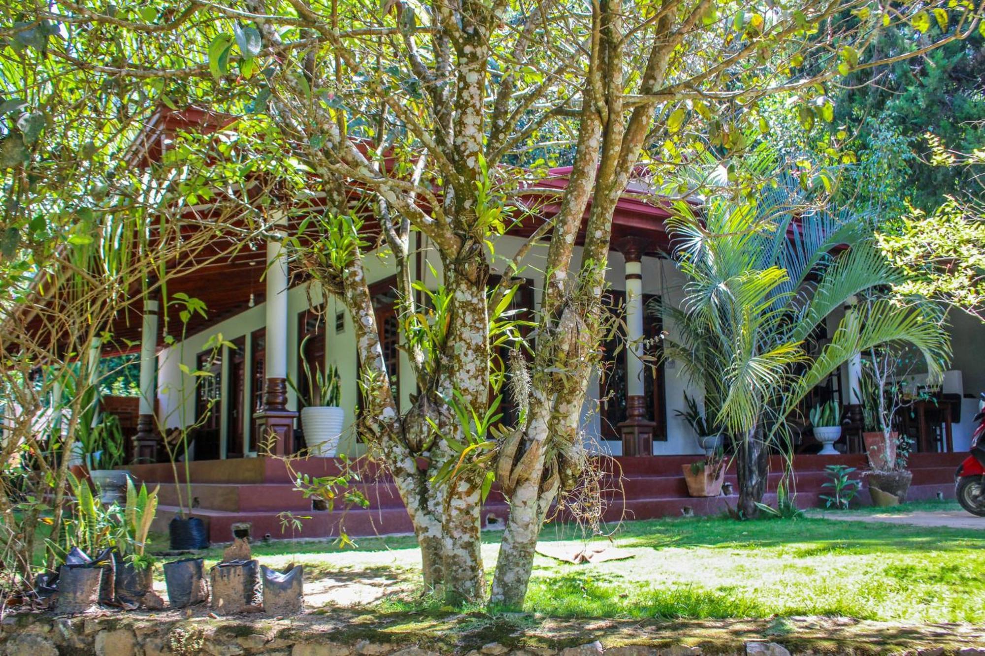 Lavender Homestay Ella Exterior photo